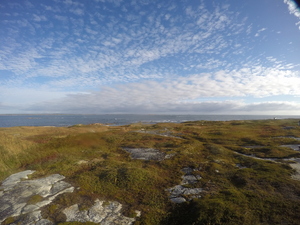 Photograph of Pinchard's Island, Newfoundland — September 27, 2017 at 8:59 AM