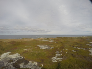 Photograph of Pinchard's Island, Newfoundland — September 27, 2017 at 11:59 AM