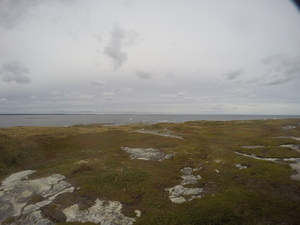 Photograph of Pinchard's Island, Newfoundland — September 27, 2017 at 3:28 PM