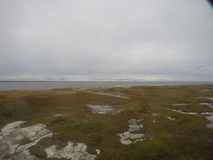 Photograph of Pinchard's Island, Newfoundland — September 27, 2017 at 4:24 PM