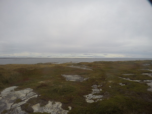 Photograph of Pinchard's Island, Newfoundland — September 27, 2017 at 4:30 PM