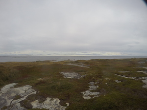 Photograph of Pinchard's Island, Newfoundland — September 27, 2017 at 4:33 PM
