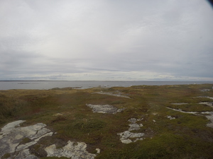 Photograph of Pinchard's Island, Newfoundland — September 27, 2017 at 4:59 PM