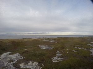 Photograph of Pinchard's Island, Newfoundland — September 27, 2017 at 5:24 PM