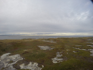 Photograph of Pinchard's Island, Newfoundland — September 27, 2017 at 5:32 PM