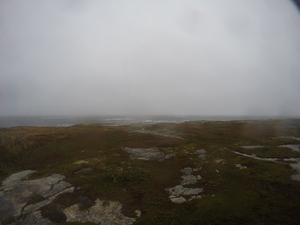 Photograph of Pinchard's Island, Newfoundland — September 28, 2017 at 7:59 AM