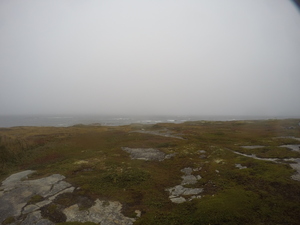 Photograph of Pinchard's Island, Newfoundland — September 28, 2017 at 10:59 AM