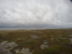 Photograph of Pinchard's Island, Newfoundland — September 28, 2017 at 1:59 PM