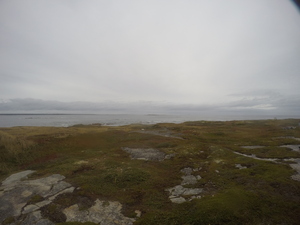Photograph of Pinchard's Island, Newfoundland — September 28, 2017 at 3:59 PM