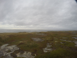 Photograph of Pinchard's Island, Newfoundland — September 28, 2017 at 4:59 PM