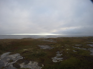 Photograph of Pinchard's Island, Newfoundland — September 29, 2017 at 7:59 AM