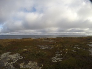 Photograph of Pinchard's Island, Newfoundland — September 29, 2017 at 8:59 AM
