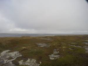 Photograph of Pinchard's Island, Newfoundland — September 29, 2017 at 9:59 AM