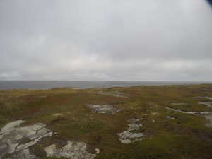 Photograph of Pinchard's Island, Newfoundland — September 29, 2017 at 10:59 AM
