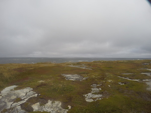 Photograph of Pinchard's Island, Newfoundland — September 29, 2017 at 11:59 AM