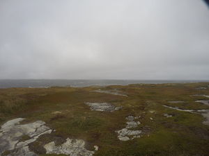 Photograph of Pinchard's Island, Newfoundland — September 29, 2017 at 1:29 PM