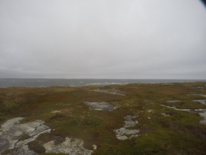 Photograph of Pinchard's Island, Newfoundland — September 29, 2017 at 3:59 PM