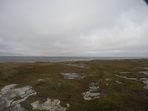 Photograph of Pinchard's Island, Newfoundland — September 29, 2017 at 4:59 PM