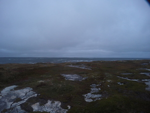 Photograph of Pinchard's Island, Newfoundland — September 29, 2017 at 6:59 PM