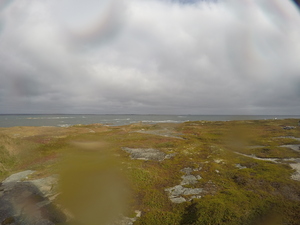 Photograph of Pinchard's Island, Newfoundland — September 30, 2017 at 10:59 AM