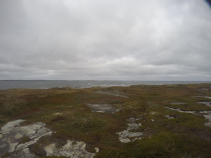 Photograph of Pinchard's Island, Newfoundland — September 30, 2017 at 12:26 PM