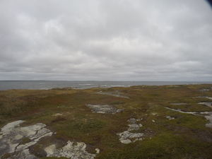 Photograph of Pinchard's Island, Newfoundland — September 30, 2017 at 12:59 PM