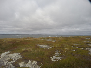 Photograph of Pinchard's Island, Newfoundland — September 30, 2017 at 1:59 PM