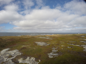 Photograph of Pinchard's Island, Newfoundland — September 30, 2017 at 2:59 PM