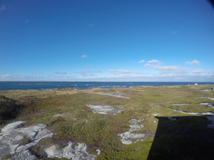 Photograph of Pinchard's Island, Newfoundland — September 30, 2017 at 3:59 PM