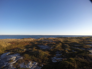Photograph of Pinchard's Island, Newfoundland — October 1, 2017 at 7:59 AM