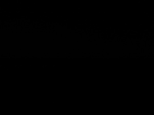 Photograph of Pinchard's Island, Newfoundland — October 1, 2017 at 7:59 PM