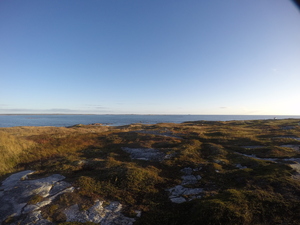 Photograph of Pinchard's Island, Newfoundland — October 2, 2017 at 7:59 AM