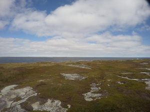Photograph of Pinchard's Island, Newfoundland — October 2, 2017 at 12:59 PM