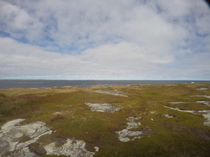 Photograph of Pinchard's Island, Newfoundland — October 2, 2017 at 1:59 PM