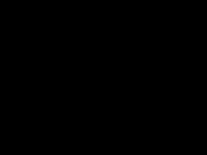 Photograph of Pinchard's Island, Newfoundland — October 2, 2017 at 7:59 PM