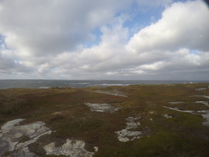 Photograph of Pinchard's Island, Newfoundland — October 3, 2017 at 4:50 PM