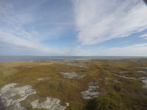 Photograph of Pinchard's Island, Newfoundland — October 4, 2017 at 9:59 AM