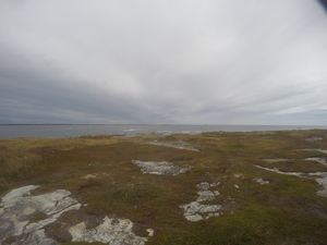 Photograph of Pinchard's Island, Newfoundland — October 4, 2017 at 11:59 AM