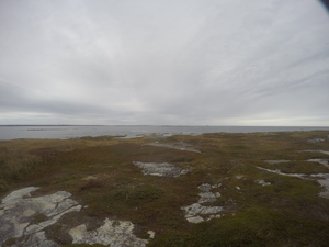 Photograph of Pinchard's Island, Newfoundland — October 4, 2017 at 12:59 PM