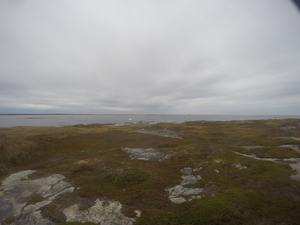 Photograph of Pinchard's Island, Newfoundland — October 4, 2017 at 1:59 PM