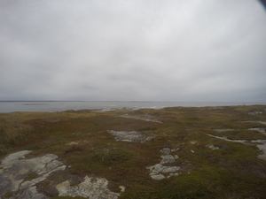 Photograph of Pinchard's Island, Newfoundland — October 4, 2017 at 2:59 PM