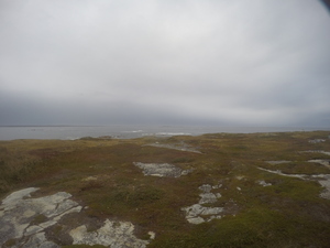 Photograph of Pinchard's Island, Newfoundland — October 4, 2017 at 4:59 PM