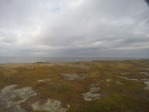 Photograph of Pinchard's Island, Newfoundland — October 5, 2017 at 8:59 AM