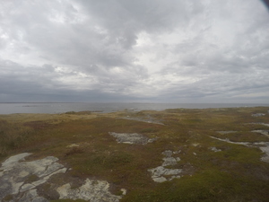 Photograph of Pinchard's Island, Newfoundland — October 5, 2017 at 11:59 AM
