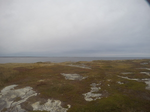 Photograph of Pinchard's Island, Newfoundland — October 8, 2017 at 7:58 AM