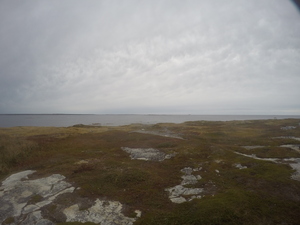 Photograph of Pinchard's Island, Newfoundland — October 8, 2017 at 8:58 AM