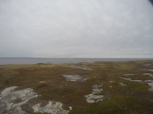 Photograph of Pinchard's Island, Newfoundland — October 8, 2017 at 9:58 AM