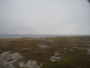 Photograph of Pinchard's Island, Newfoundland — October 8, 2017 at 11:58 AM