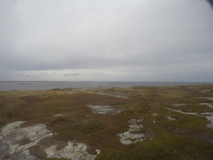 Photograph of Pinchard's Island, Newfoundland — October 8, 2017 at 1:58 PM