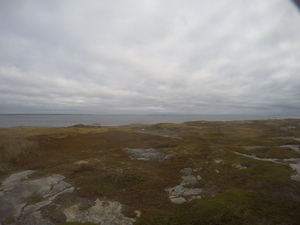 Photograph of Pinchard's Island, Newfoundland — October 9, 2017 at 9:58 AM